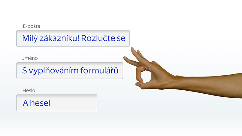 image of a web form